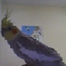 סמל אישי של משתמש