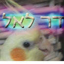 סמל אישי של משתמש