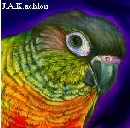 סמל אישי של משתמש