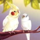 סמל אישי של משתמש