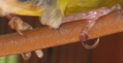 untitled2.jpg