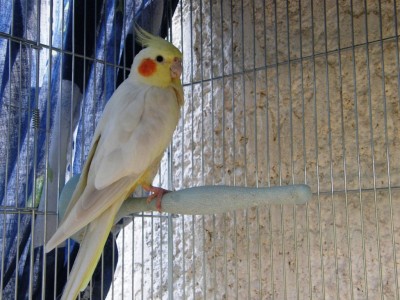 האמא המותשת