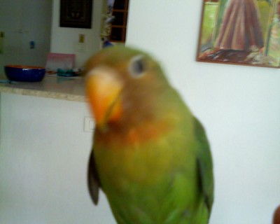 הרצל על היד שלי. התגעגעתי אליו:]