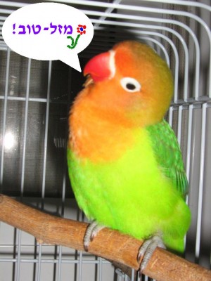 Copy of pic1 058.jpg