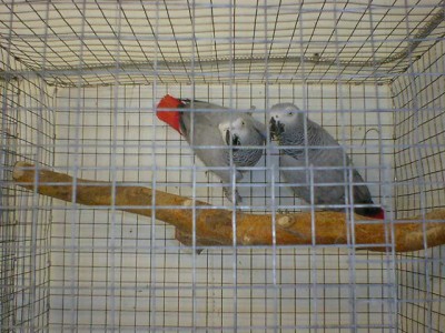 תסתכל ותבדיל