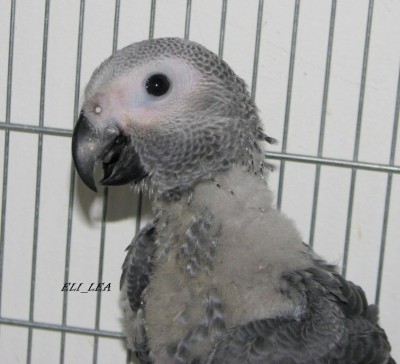 Copy of IMG_3850.jpg