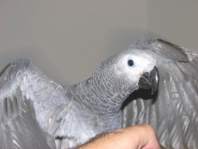 Copy of IMG_3852.jpg