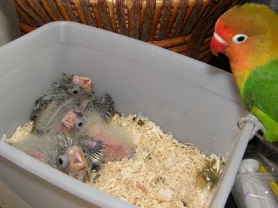 גם אני נראיתי ככה פעם?!