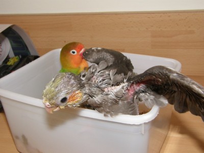 מטפסת על הקופסא :)