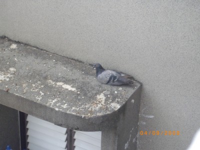 תמונה שצילמתי