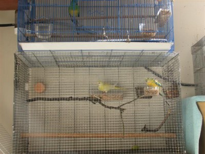 עליה למטוס 003 (Small).jpg