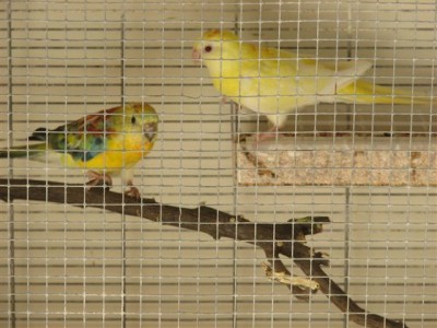 עליה למטוס 004 (Small).jpg