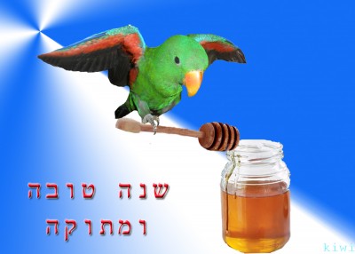 kiwishanatova.jpg