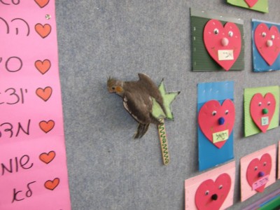 הפעם הראשונה שהוא התעופף ללוח, מתועדת!