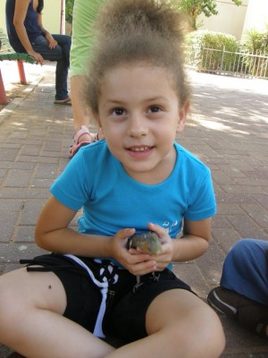 ככה זה נראה טיפה מרחוק