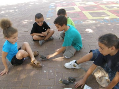 וככה זה נראה מלמעלה