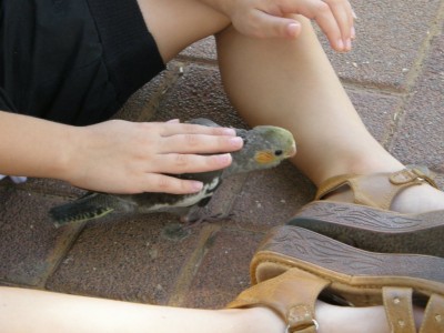 עוד ליטופים ועוד ועודד