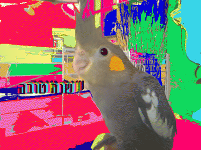 התמונה לתחרות(: