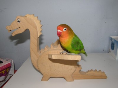 הנסיך על הדרקון