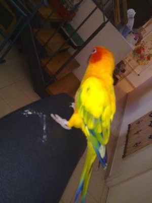 13102009036.jpg
