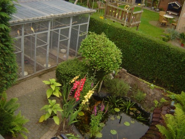 בית גידול בחו"ל