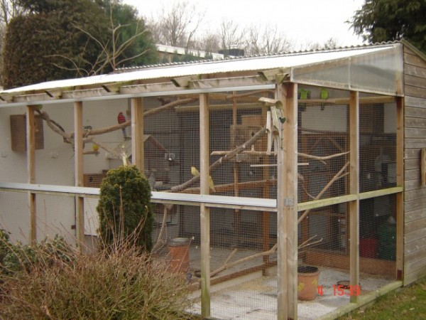 בית גידול בחו"ל