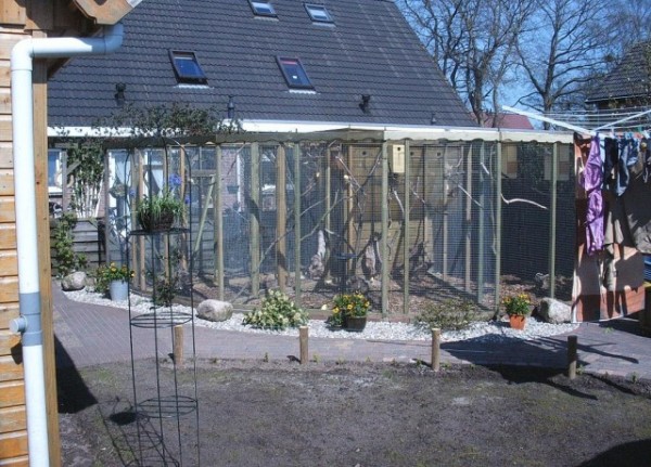 בית גידול בחו"ל