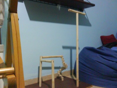 תמונה כללית