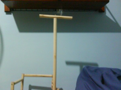 סטנד גבוהה לאילוף