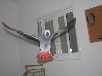 02.jpg