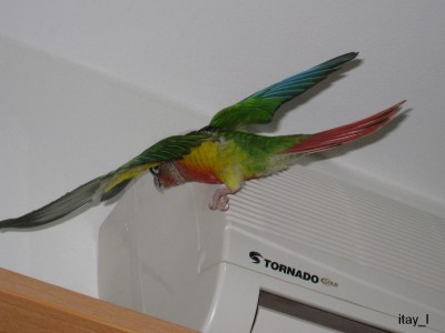 Desktop5.jpg