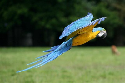 5 (Small).jpg