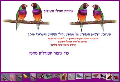 ‏‏עותק של finches_sml.jpg