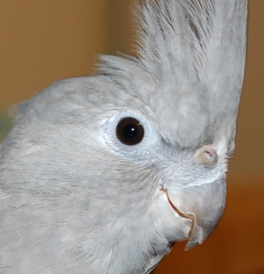 DSC_3168.jpg