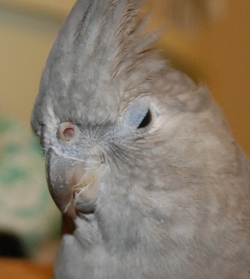 DSC_3170.jpg