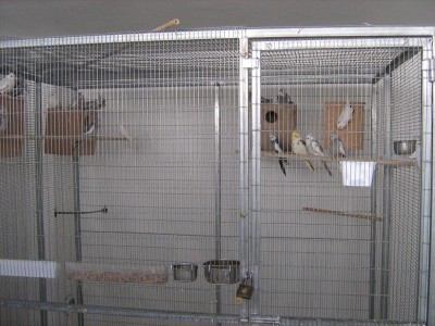 IMG_1061_zip.JPG