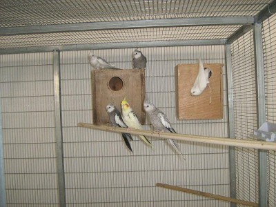 IMG_1062_zip.JPG