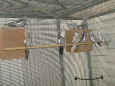 IMG_1063_zip.JPG