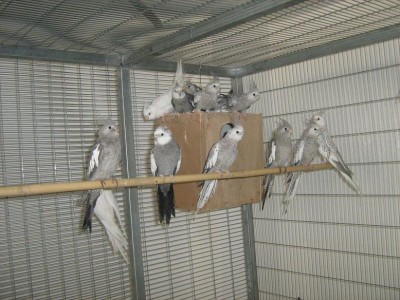 IMG_1064_ZIP.JPG