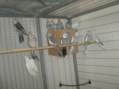 IMG_1065_zip.JPG