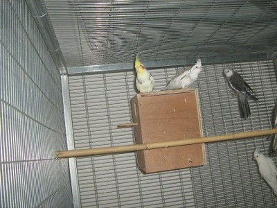 IMG_1066_zip.JPG
