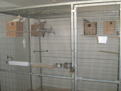 IMG_1067_zip.JPG