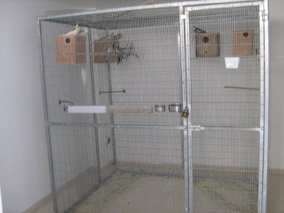 IMG_1068_zip.JPG