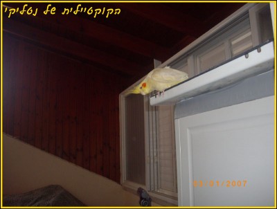 IMGP4861.JPG