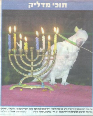 מדליק נר.jpg