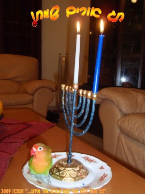 שמח.JPG