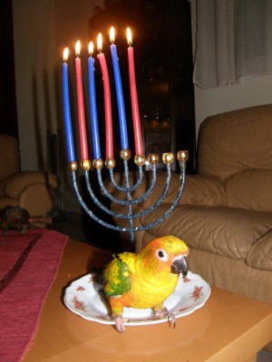 מדליקה איתנו נרות חנוכה :)