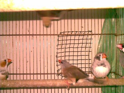 17122009(004) (Small).jpg