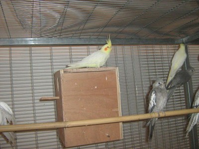 IMG_1071.JPG
