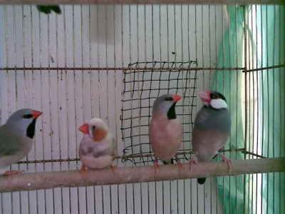 18122009(007) (Small).jpg